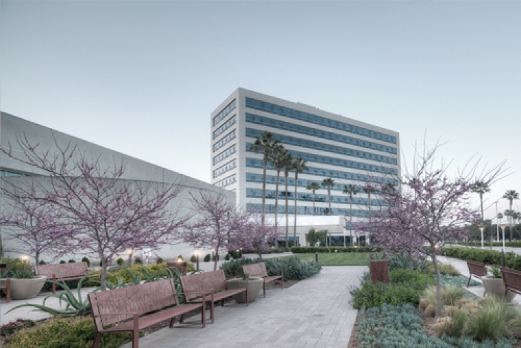Case Study - Working with the top Image Diagnostic Centers in the nation